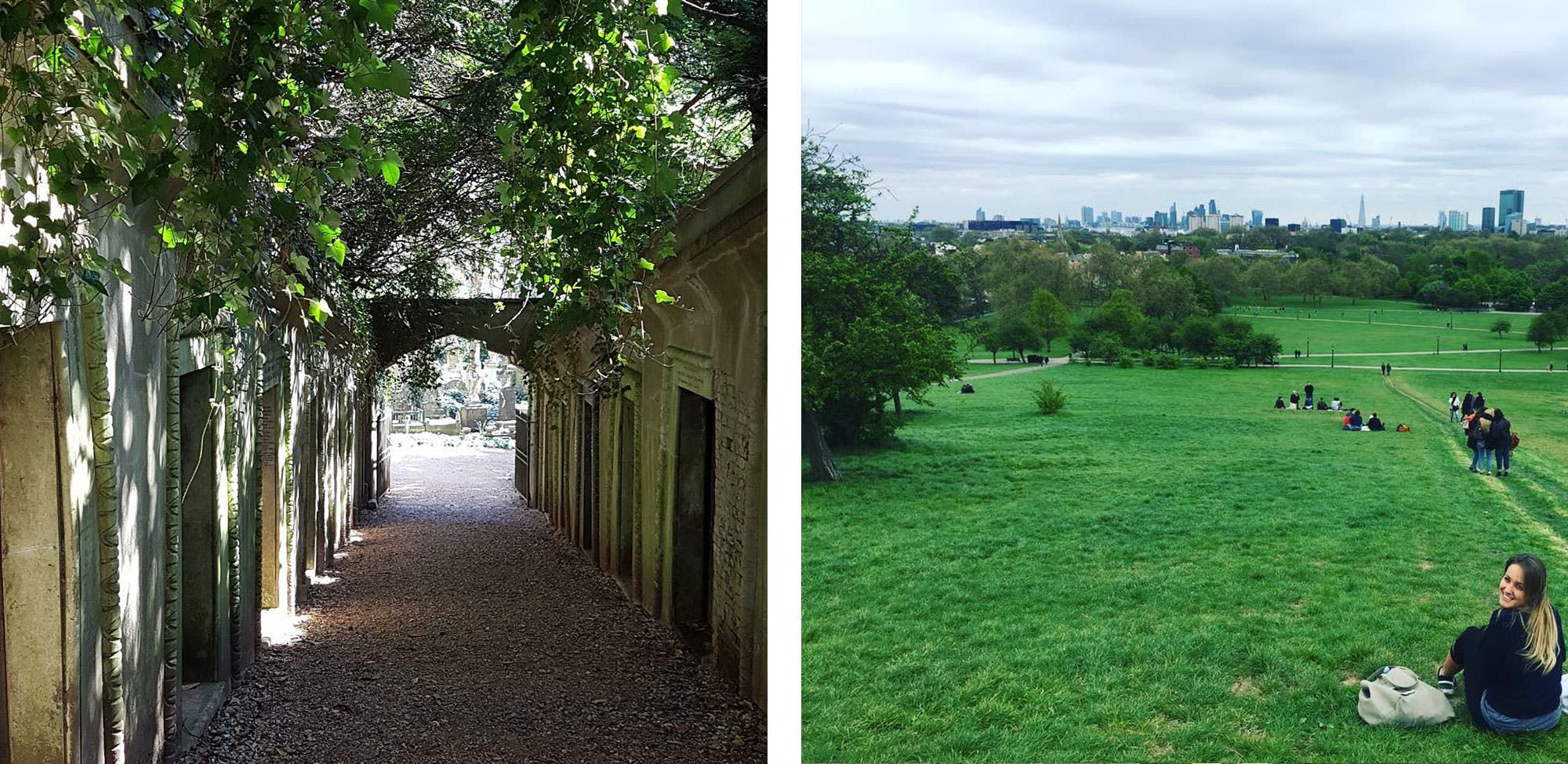 hampstead hill garden nature lover london